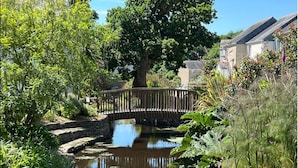 A narrow waterway with a wooden bridge, surrounded by lush greenery and a large tree.