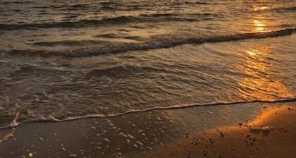 Family Friendly Cape Charles Getaway-3BR Condo Beach & Kiptopeke Park Access