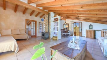 Televisión y chimenea