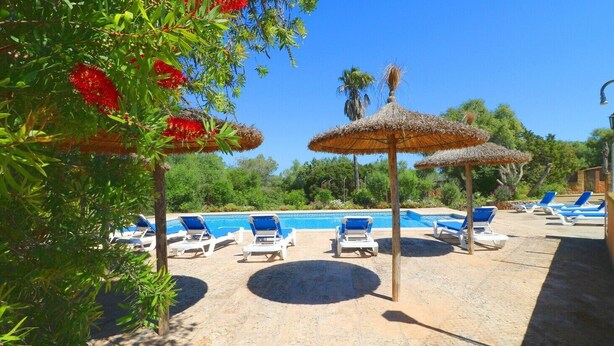 Un espace aménagé au bord de la piscine, avec des chaises longues et des parasols en chaume, entouré de verdure et surplombé d’un ciel dégagé.