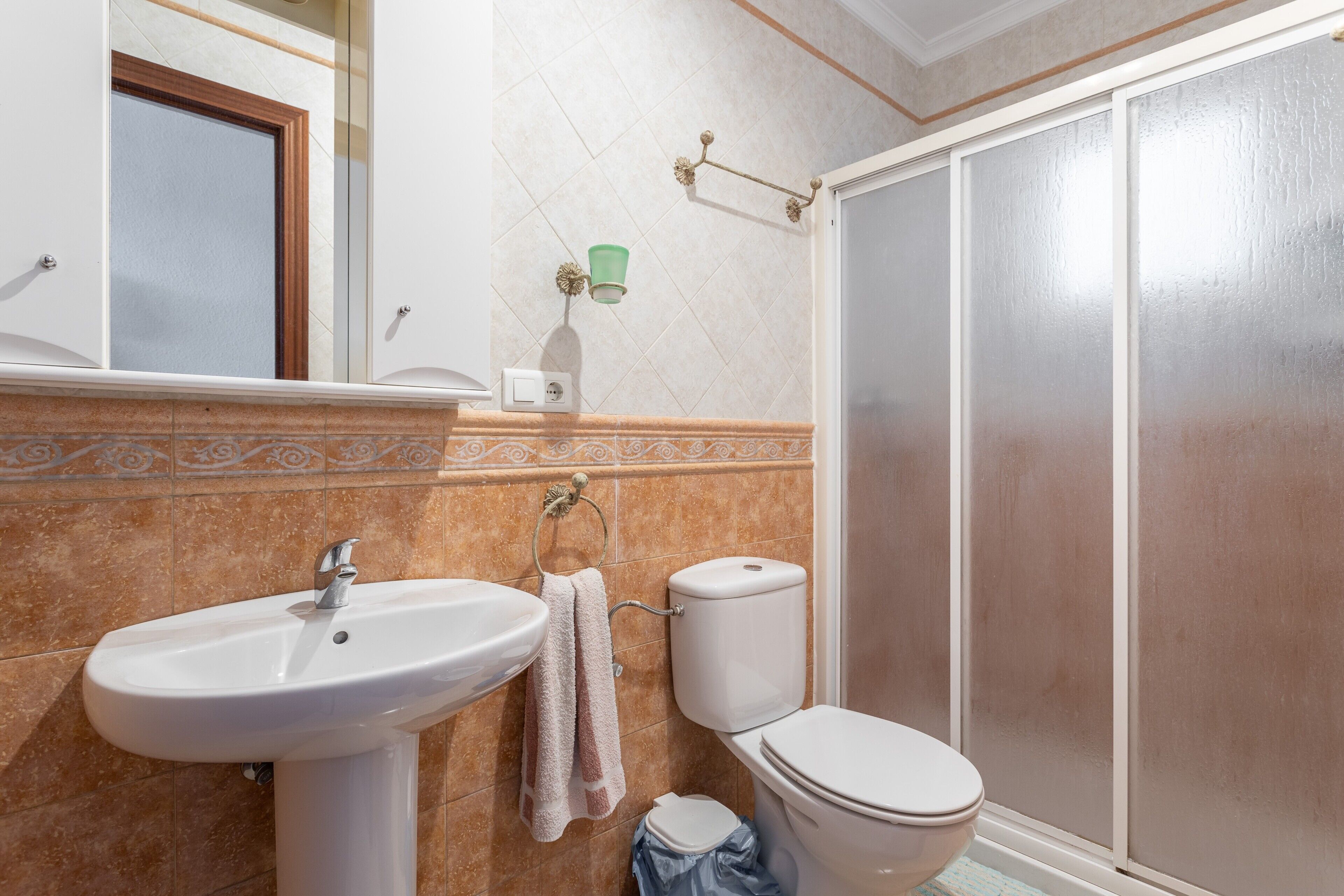 Une salle de bain avec un lavabo, des toilettes et une douche.