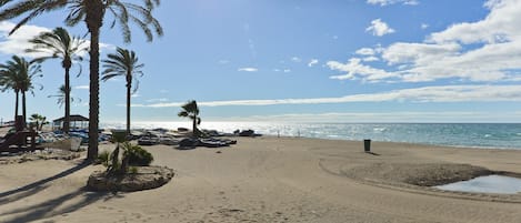 بالقرب من الشاطئ