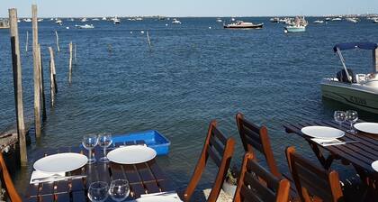 Charming Villa Mandee, 5 minutes from the Bassin beach