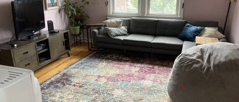 A cozy living room with a gray sofa, a large flat-screen TV, a colorful rug, and a potted plant.