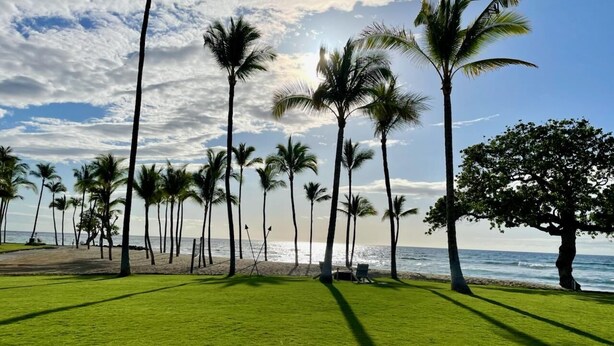 Una playa con palmeras y una zona verde.