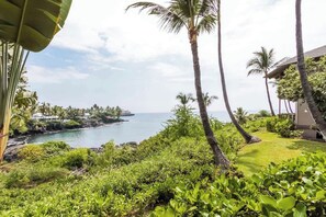 Property grounds - Kanaloa At Kona Enjoy Peace in Paradise! (Kailua-Kona)