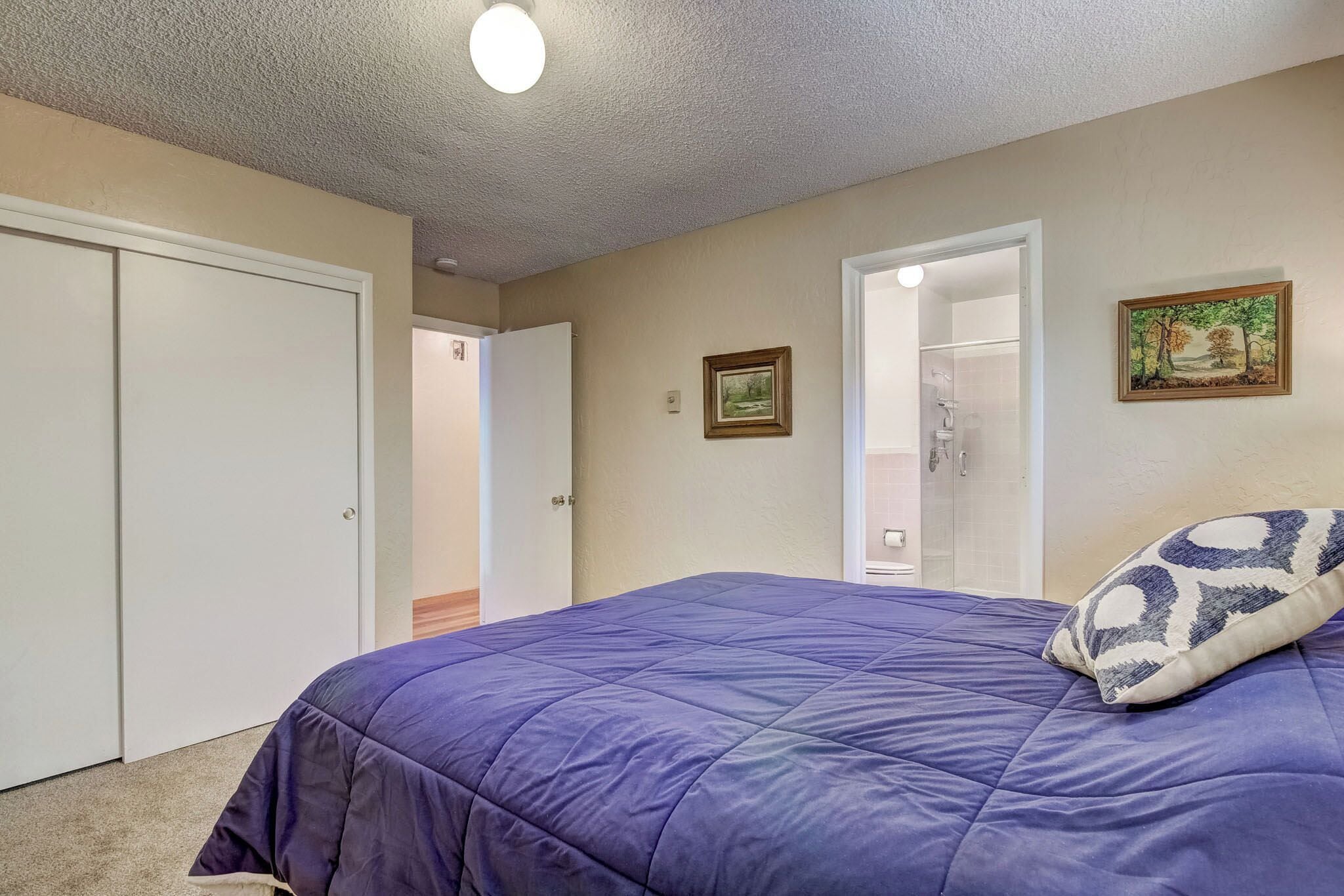 Een slaapkamer met een groot bed, een deur, een ingelijst schilderij en een douchehoek.