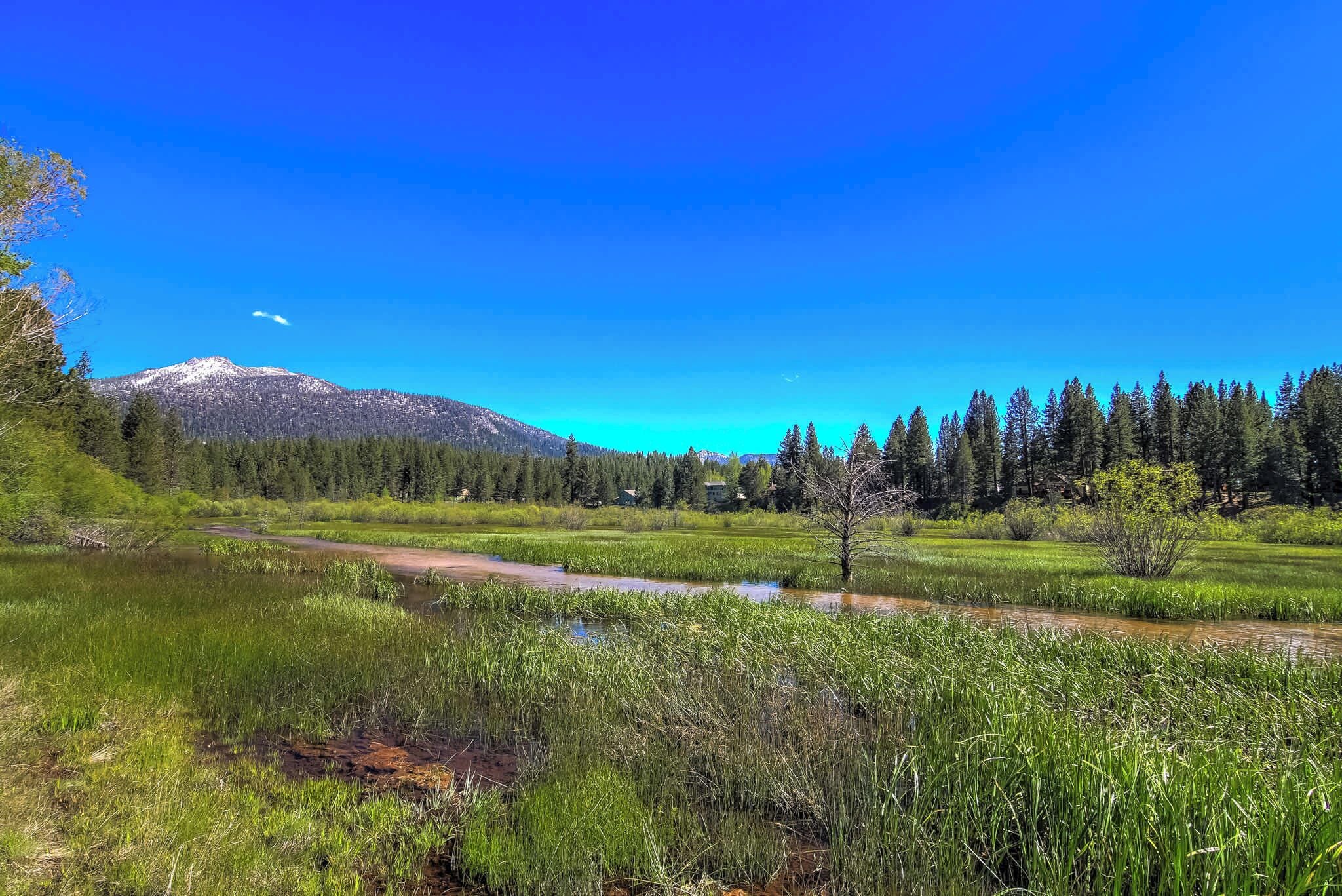 Un paisaje natural con montaña, río y bosque denso.