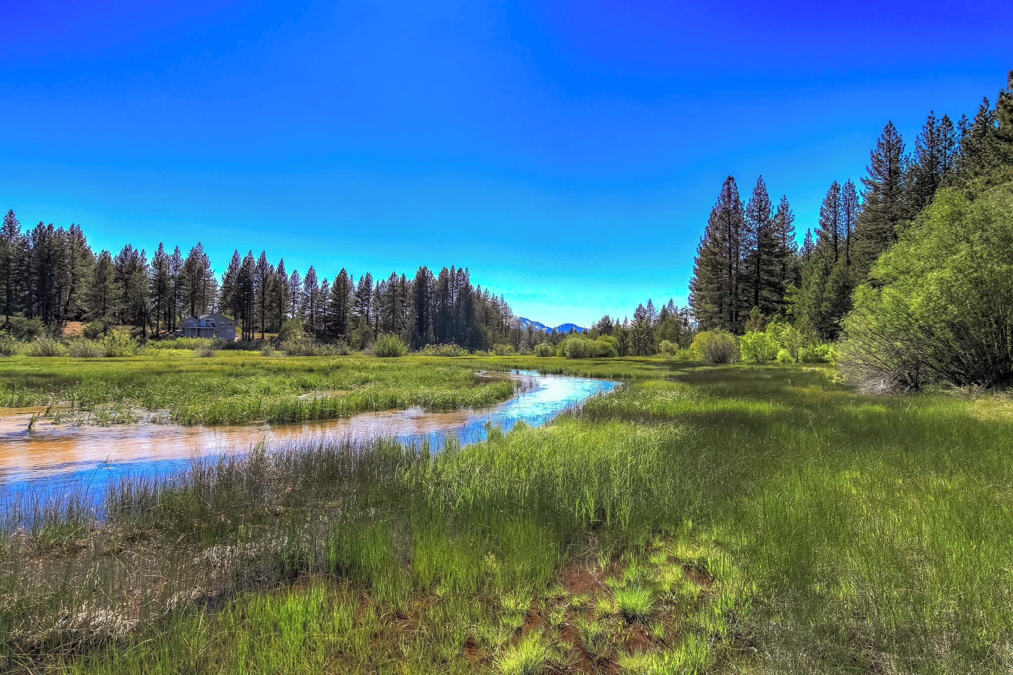 A river flowing through a lush green landscape with dense forests on both sides.