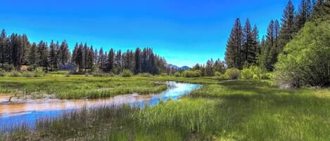 A river flowing through a lush green landscape with dense forests on both sides.