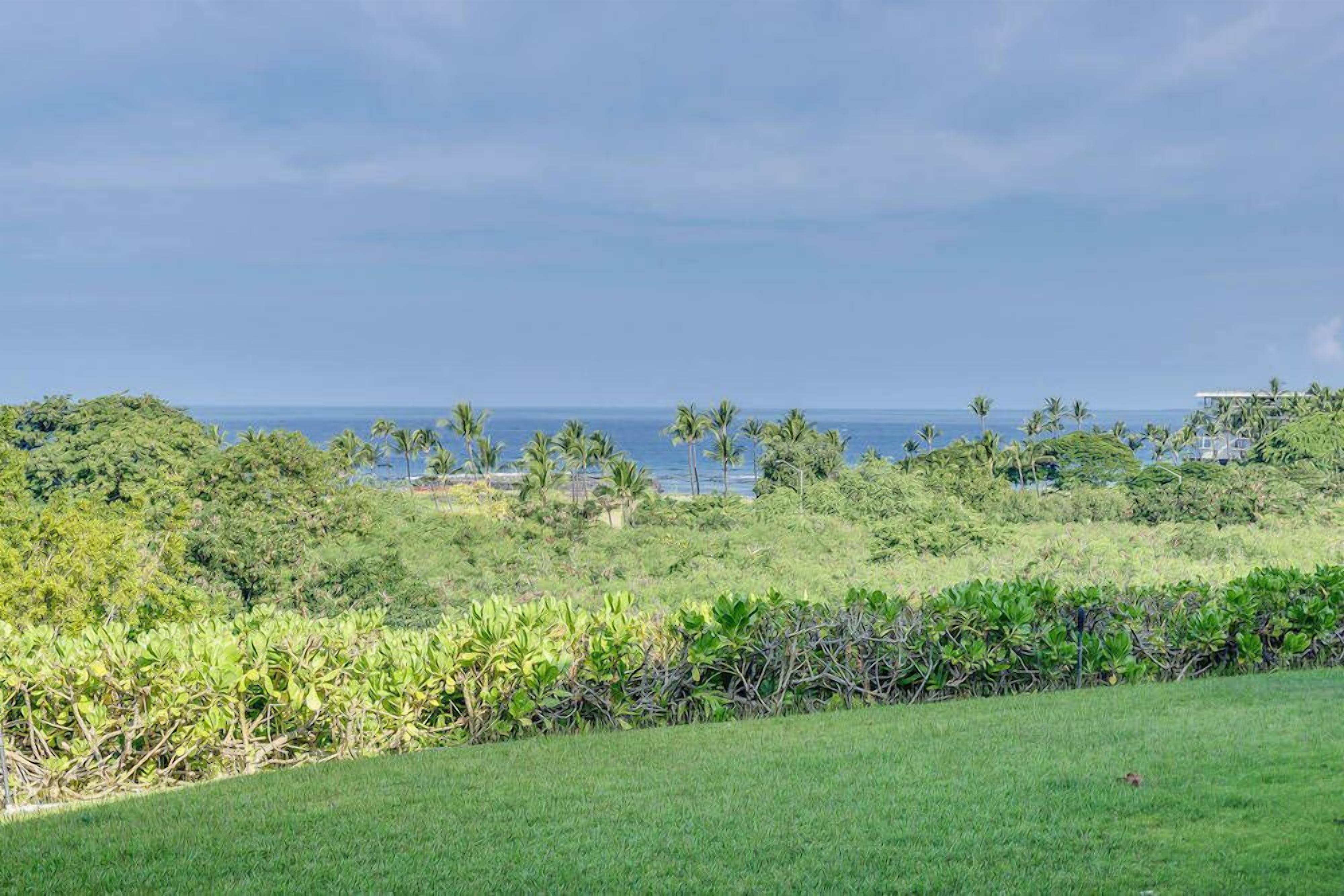 A lush green landscape with a view of the ocean and palm trees.