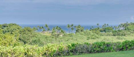 A lush green landscape with a view of the ocean and palm trees.