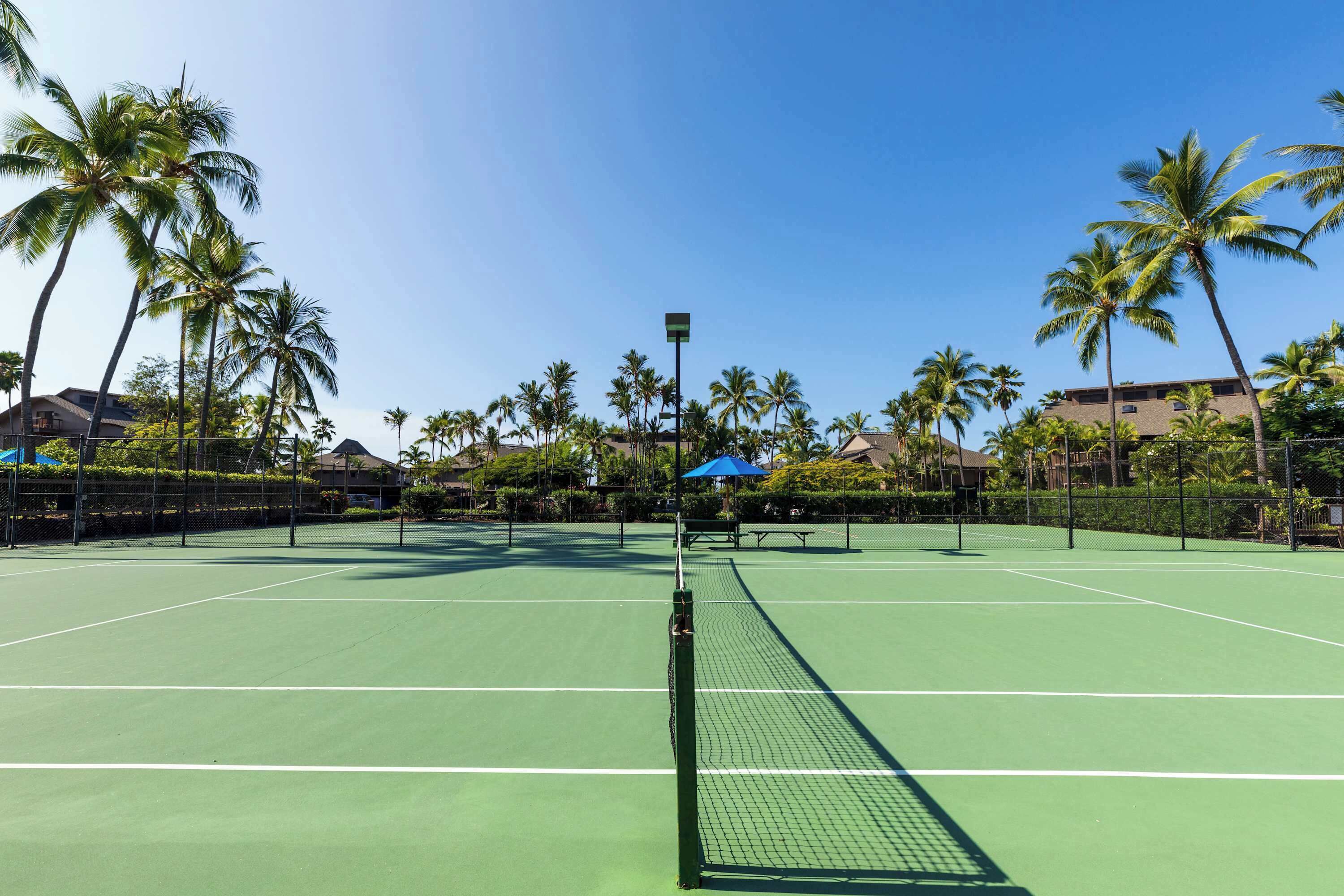 A tennis court with a net, surrounded by palm trees and houses.