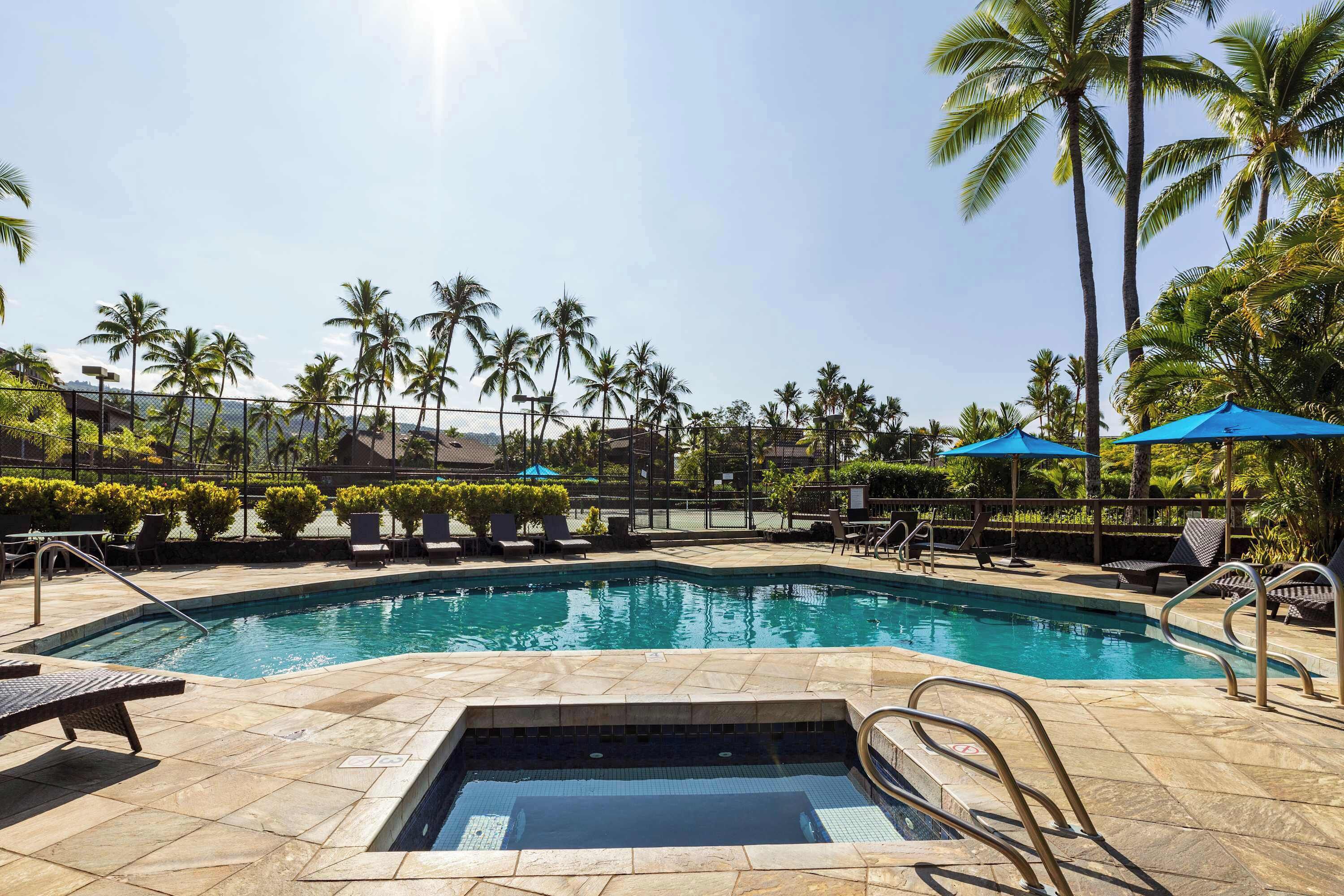 A swimming pool with lounge chairs and umbrellas, surrounded by palm trees.