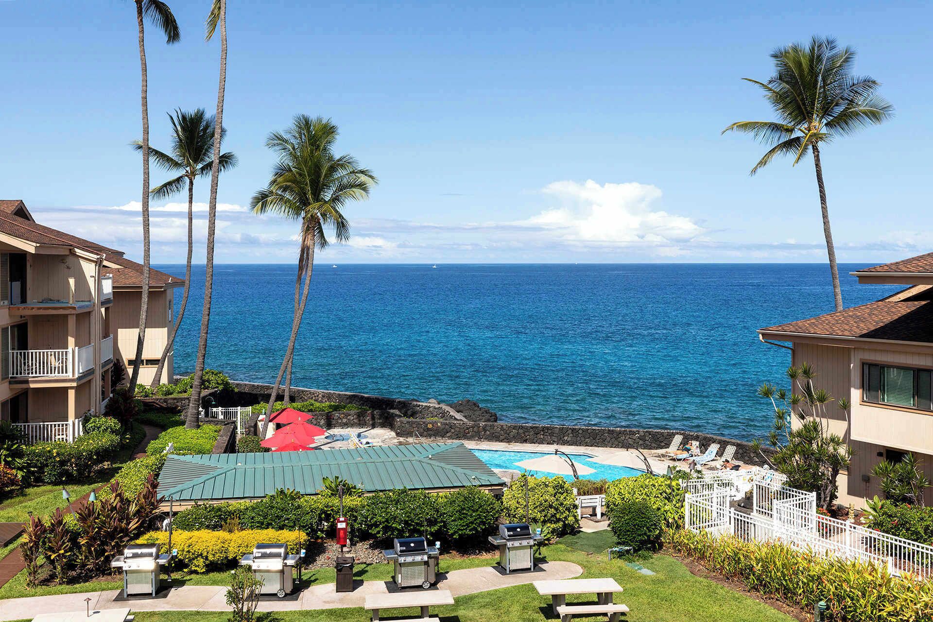 A beachfront property with a swimming pool, barbecue grills, and palm trees.