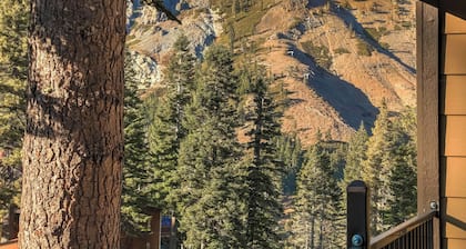 Alpine Meadows Peak 15 Min to Commons Beach