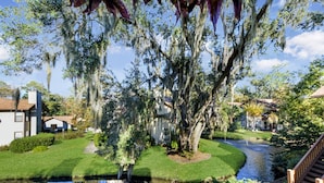 A residential area with a pond, a wooden bridge, and houses with Spanish moss.