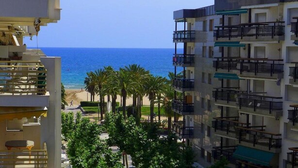 Une vue sur la côte, avec une plage, des palmiers et des immeubles à plusieurs étages.