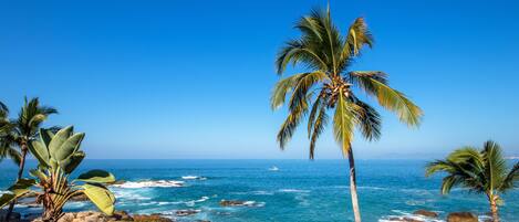 On the beach, sun loungers, beach towels