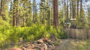 A forested area with a stone wall and a wooden fence. - Moonlight Cove w/ Grill Tahoe Beach Next Door! (Kings Beach)