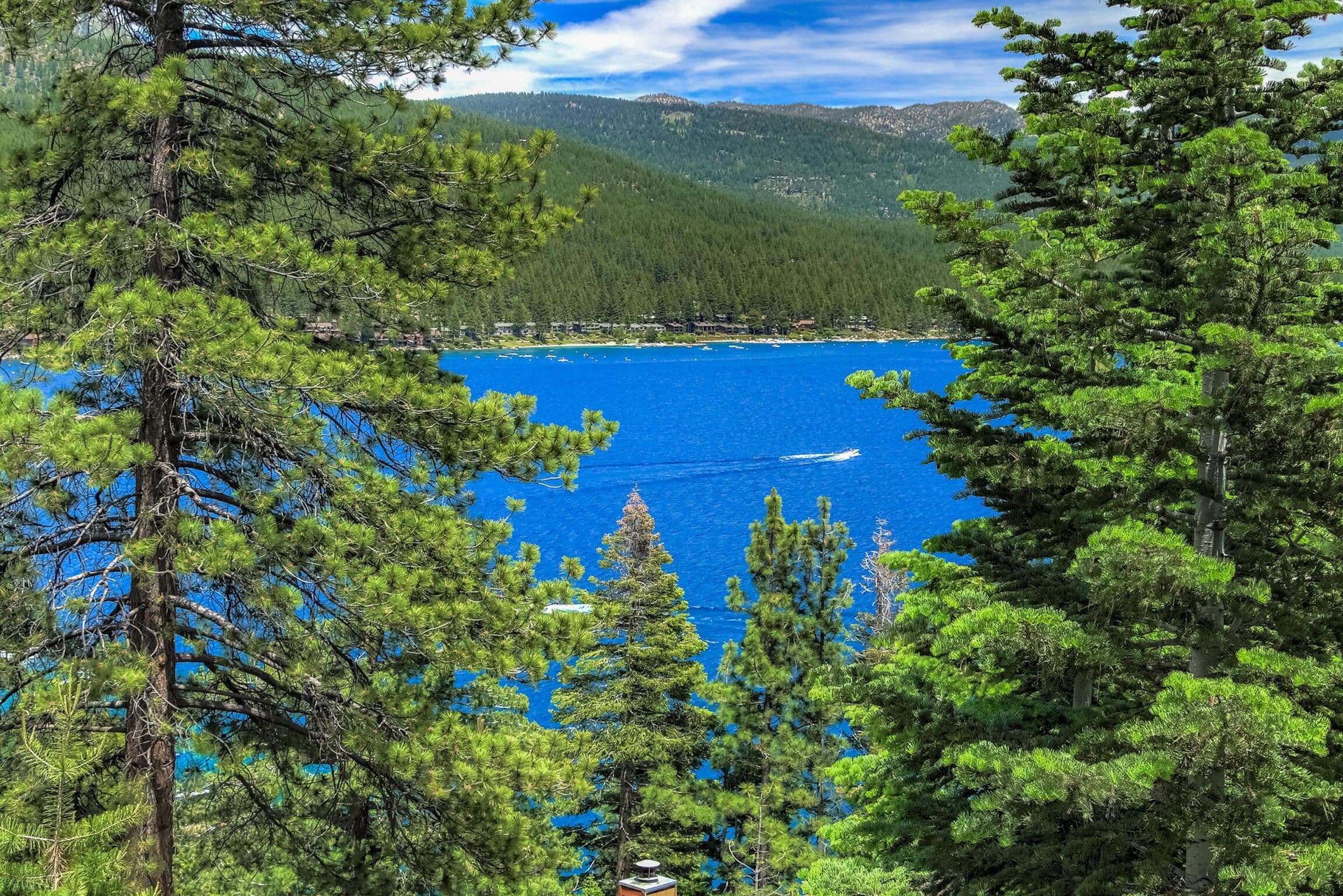 Ein See, umgeben von dichten Kiefern und einer Bergkette im Hintergrund.