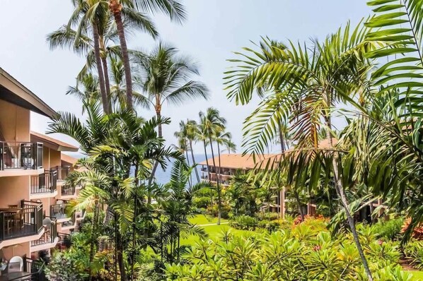 Condo, Multiple Beds (Kona Makai #4202) | Property grounds - Kona Makai #4202 (Kailua-Kona)