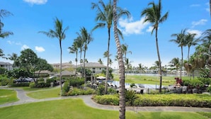 Ett semesterparadis med en swimmingpool, palmer och en golfbana i bakgrunden.