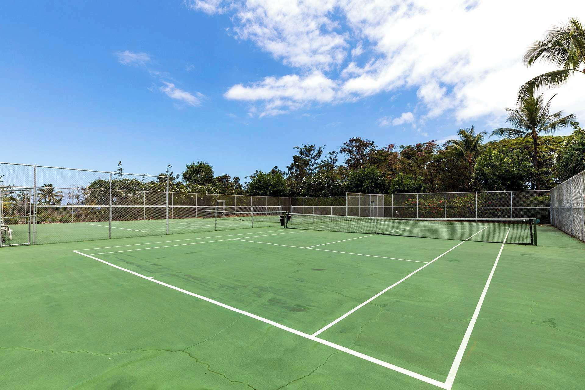 A tennis court with a net, surrounded by a fence and trees.