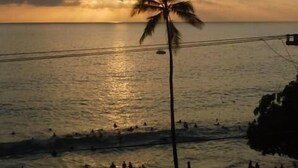 A beach scene with a palm tree, ocean waves, and people on the shore. - Kona White Sands A4 Romantic Ocean View! (Kailua-Kona)