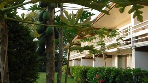 A garden with a papaya tree, a well-maintained lawn, and a building with multiple balconies. - Kona White Sands A4 Romantic Ocean View! (Kailua-Kona)