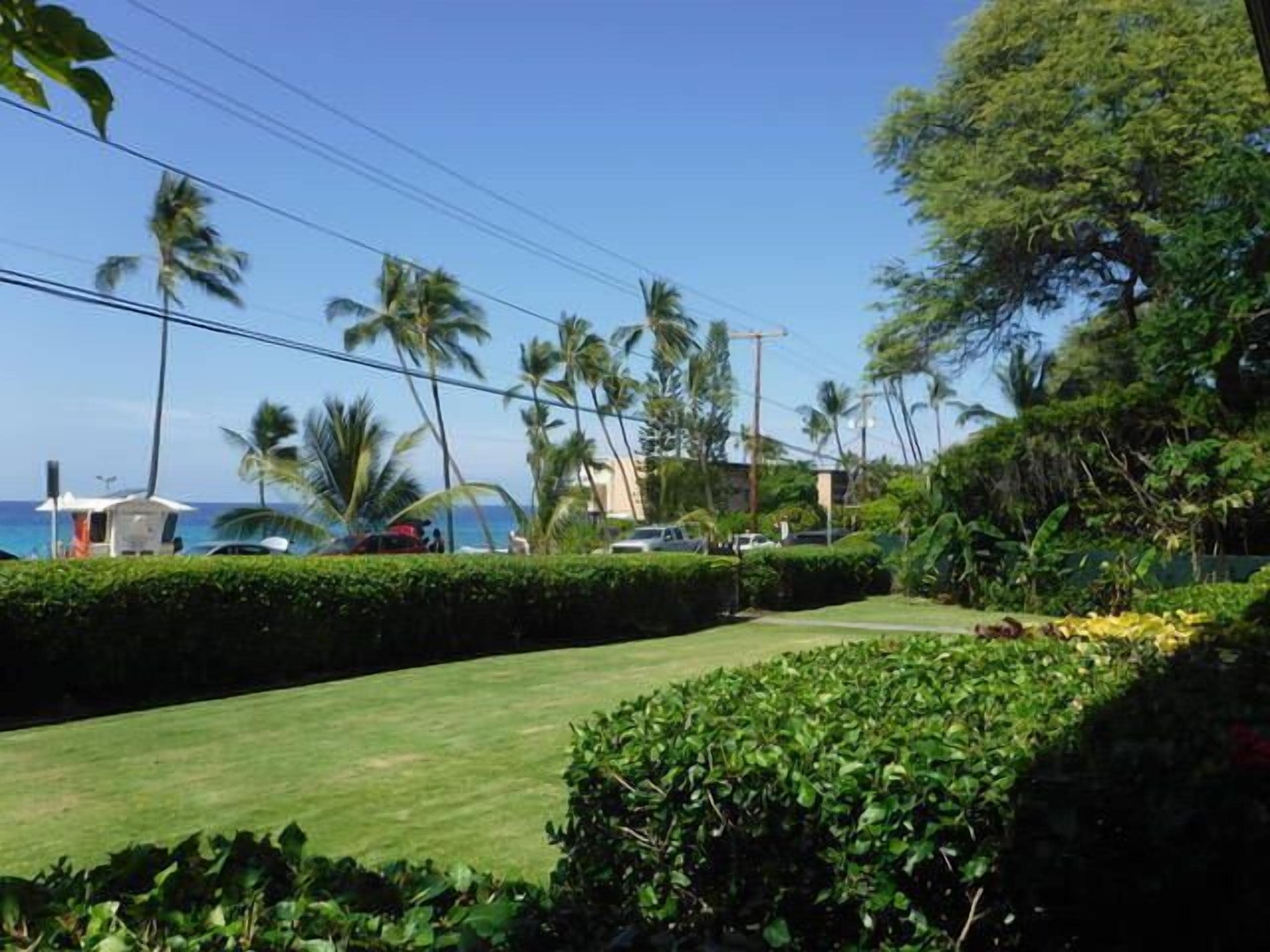 Ein gepflegter Rasen mit einer Hecke im Vordergrund, Palmen und ein Blick auf den Ozean im Hintergrund.
