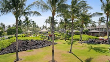 ุงูู
ูุทูุฉ ุงูู
ุญูุทุฉ ุจุงูู
ูุดุฃุฉ