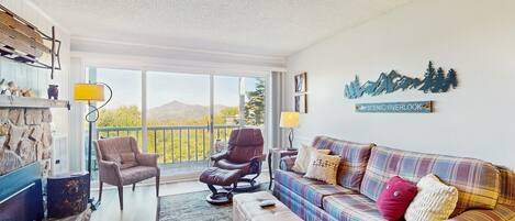 TV, fireplace, books, video library