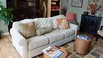 Smart TV, DVD player, books, video library