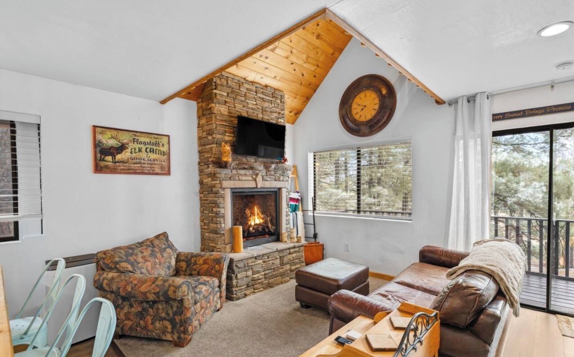 Smart TV, fireplace, video games, books