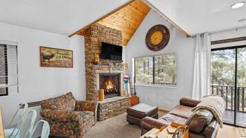 Smart TV, fireplace, video games, books