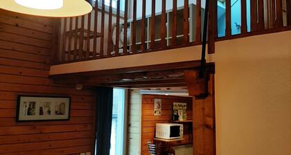 Pleasant 65 m² duplex with "chalet" feel