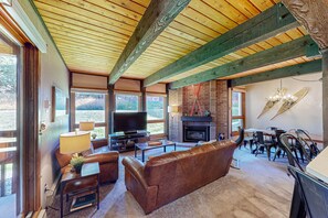 TV, fireplace, books