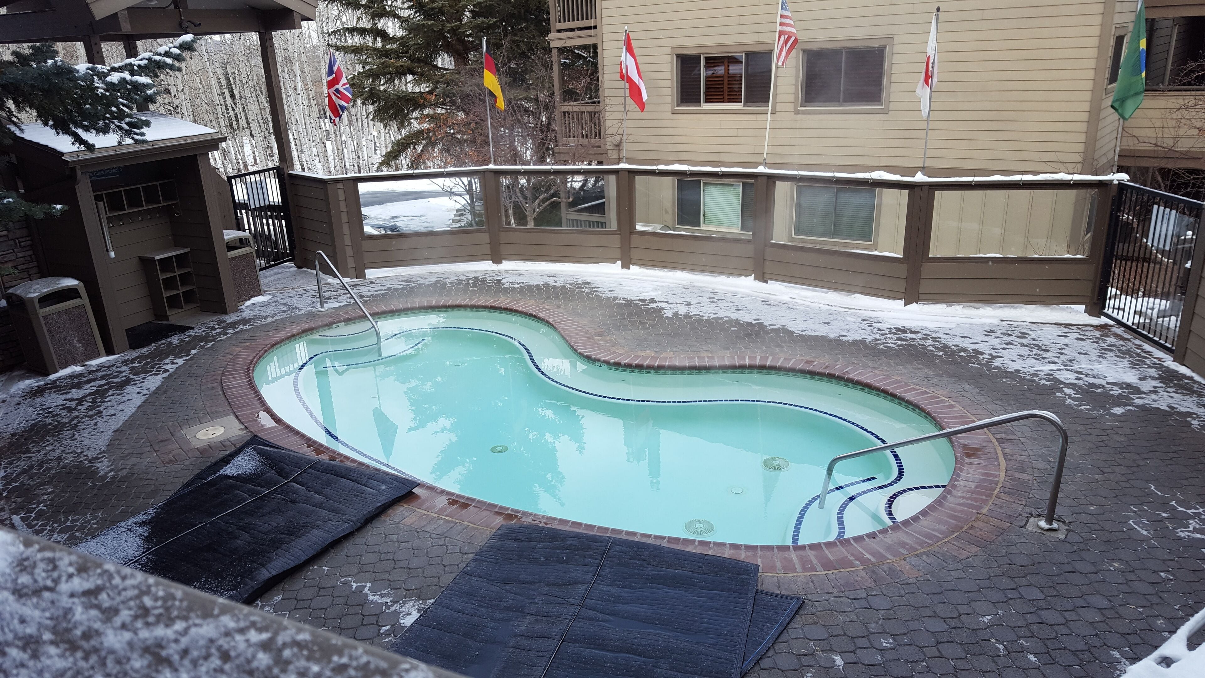 A swimming pool with a brick border and a metal ladder.