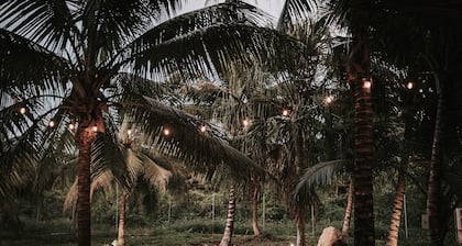 Nocturna Habitación Estándar Triple