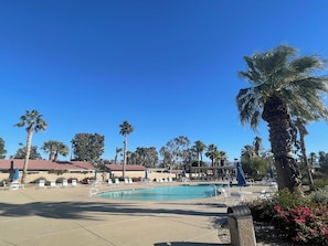 A pool area with lounge chairs and palm trees.