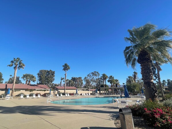 A pool area with lounge chairs and palm trees.