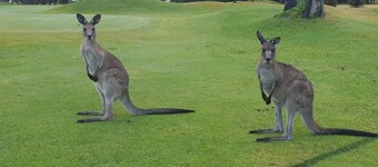 Golf course access, 10 mins to famous Hymans beach