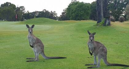 Golf course access, 10 mins to famous Hymans beach