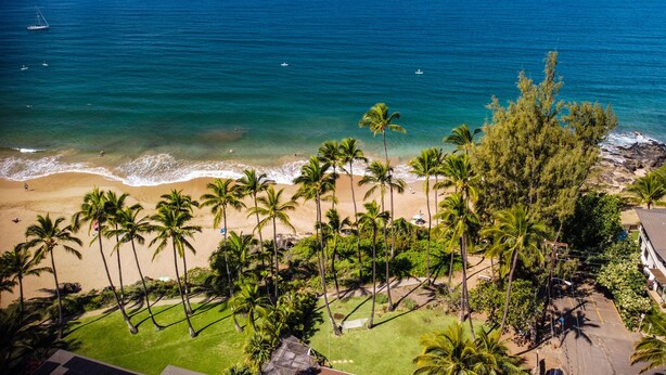 A beach with palm trees and a view of the ocean.