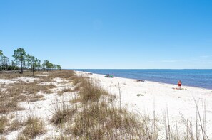 Playa en los alrededores y camastros
