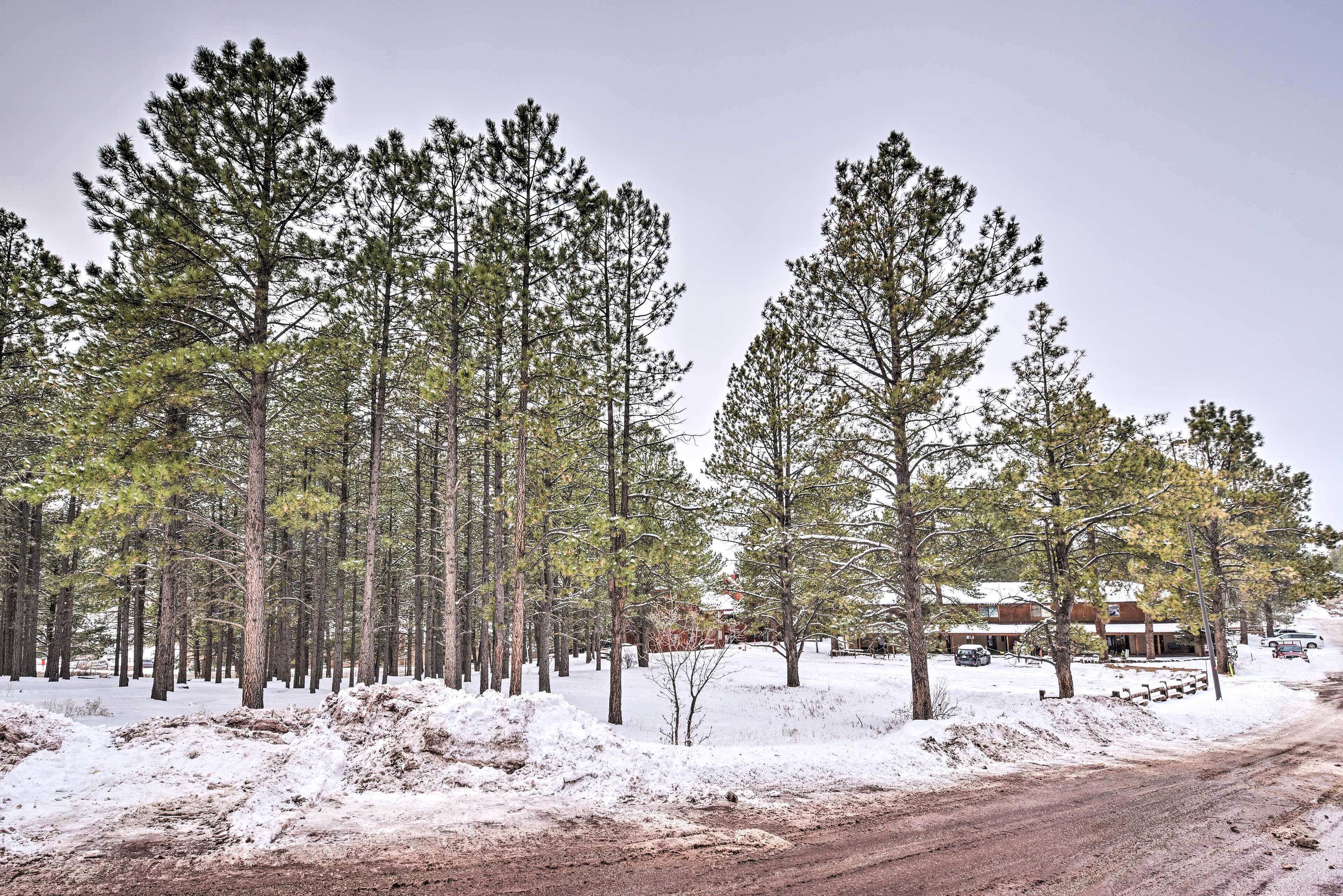 Lovely New Mexico Retreat w\/ 4 Private Balconies!, Angel Fire, NM