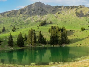A mountain landscape with a lake and scattered trees.