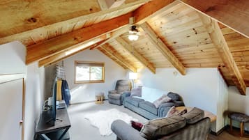 TV, fireplace, books