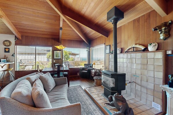 TV, fireplace, DVD player, books